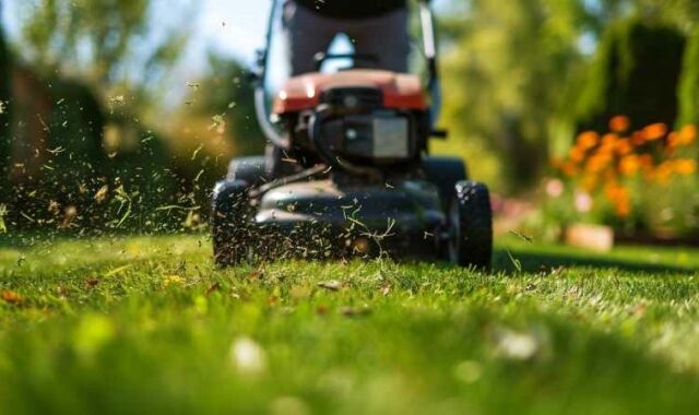 travaux jardinage nuisance
