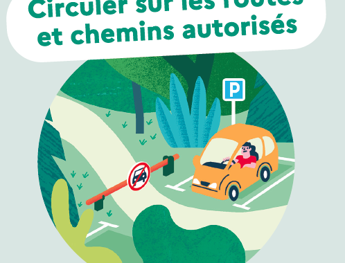vehicule a moteur dans les bois